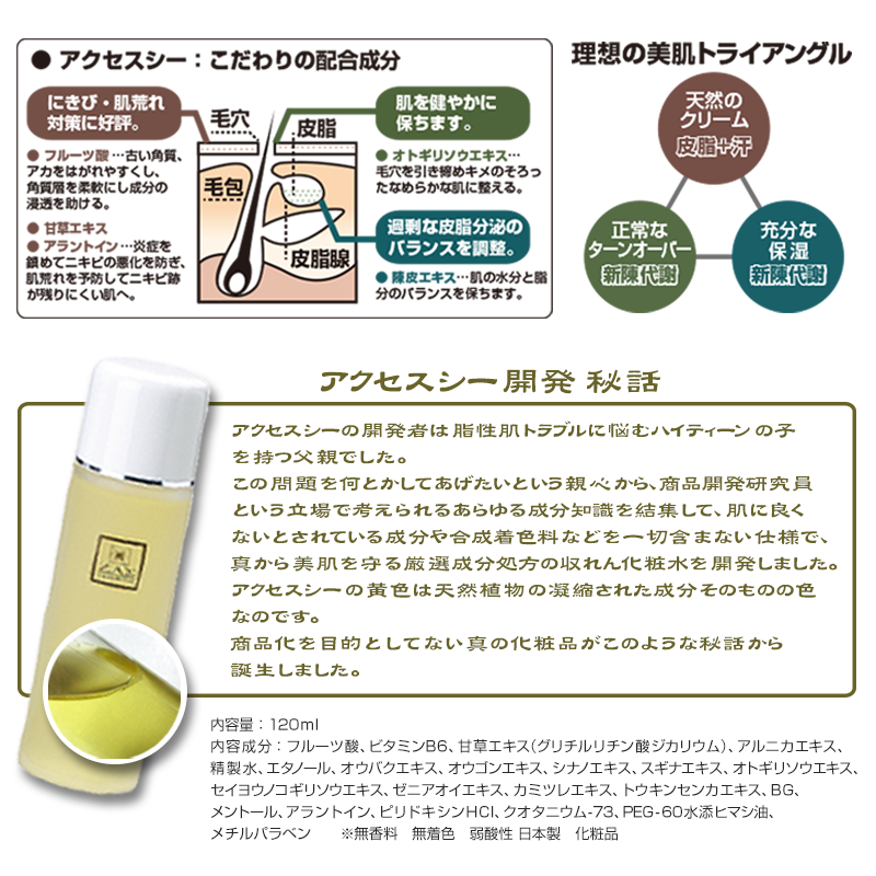アクセスシー開発秘話：アクセスシー