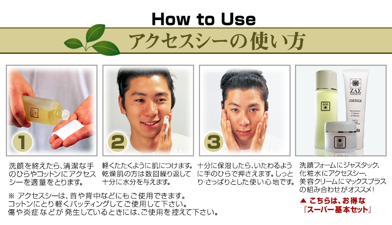 使い方：アクセスシー
